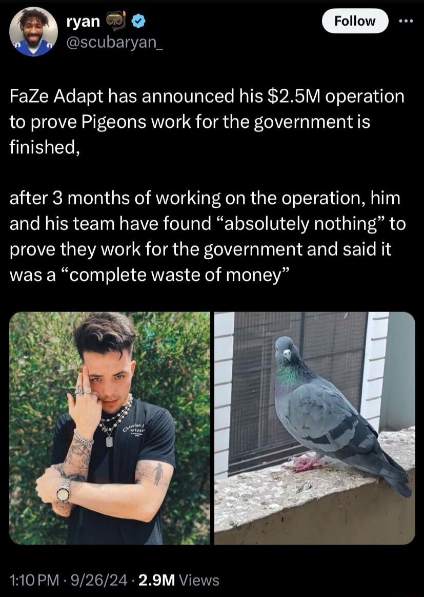 an 0 scubaryan_ FaZe Adapt has announced his 25M operation to prove Pigeons work for the government is finished after 3 months of working on the operation him IR EET N EVR T T R T VT T I prove they work for the government and said it was a complete waste of money 110PM 92624 29M Views