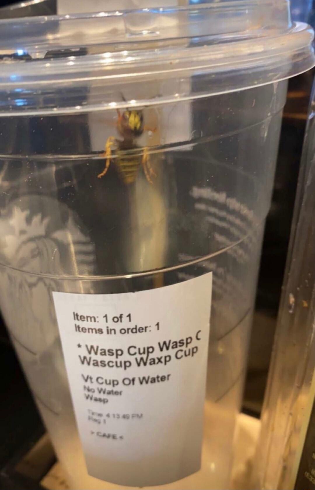 10f1 teme in order Nasp Wascup vsf P Cp up Of Wate