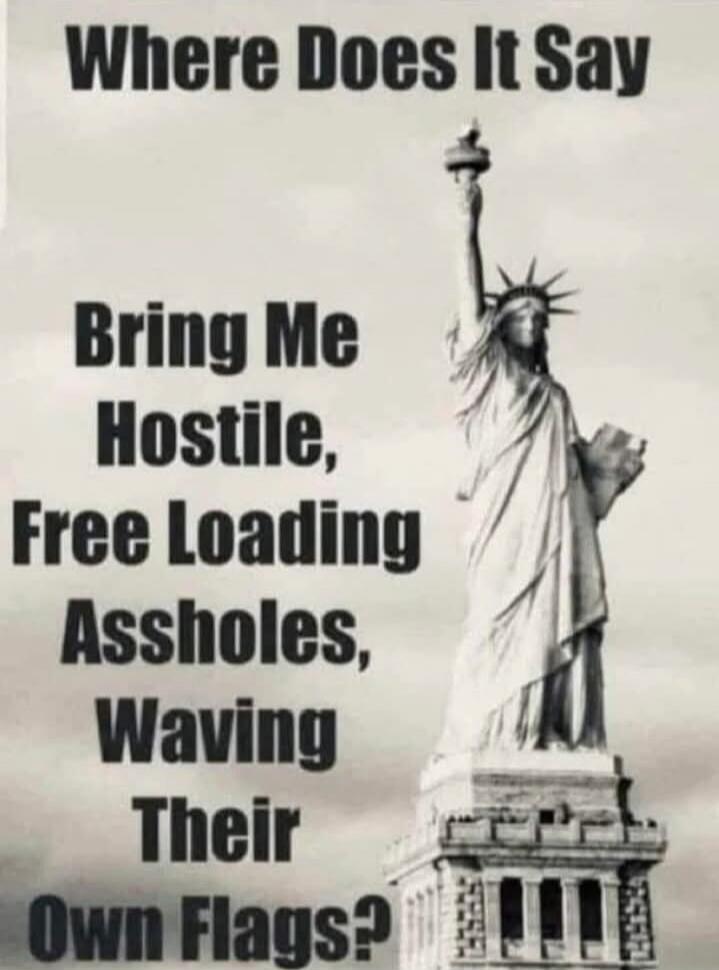 Where Does It Say Bring Me Hostile, Free Loading Assholes, Waving Their Own Flags?