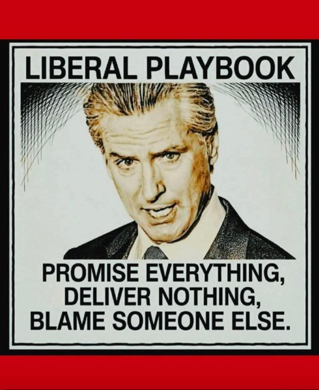 LIBERAL PLAYBOOK PROMISE EVERYTHING, DELIVER NOTHING, BLAME SOMEONE ELSE.