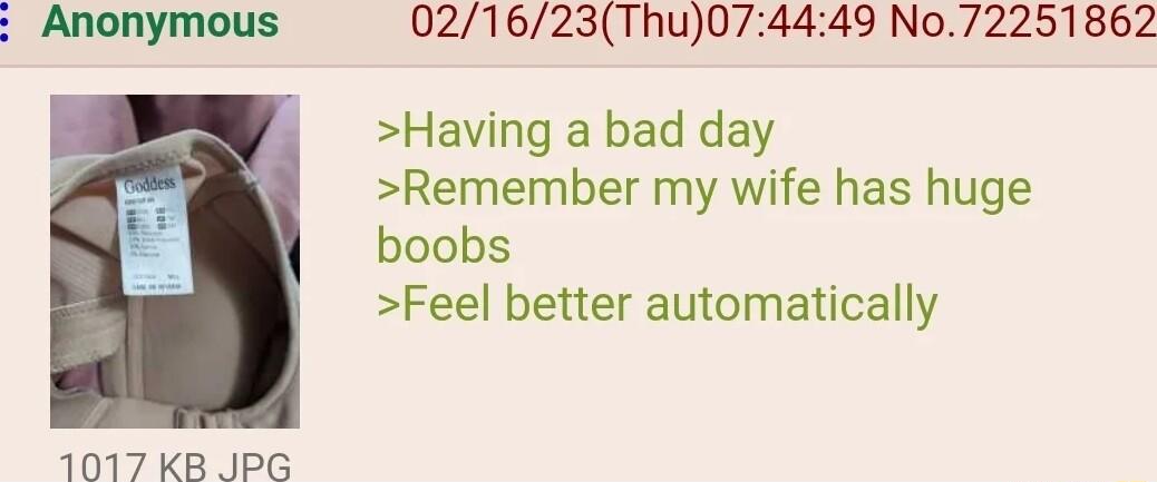 Anonymous 021623Thu074449 No72251862 Having a bad day Remember my wife has huge boobs Feel better automatically 1017 KB JPG