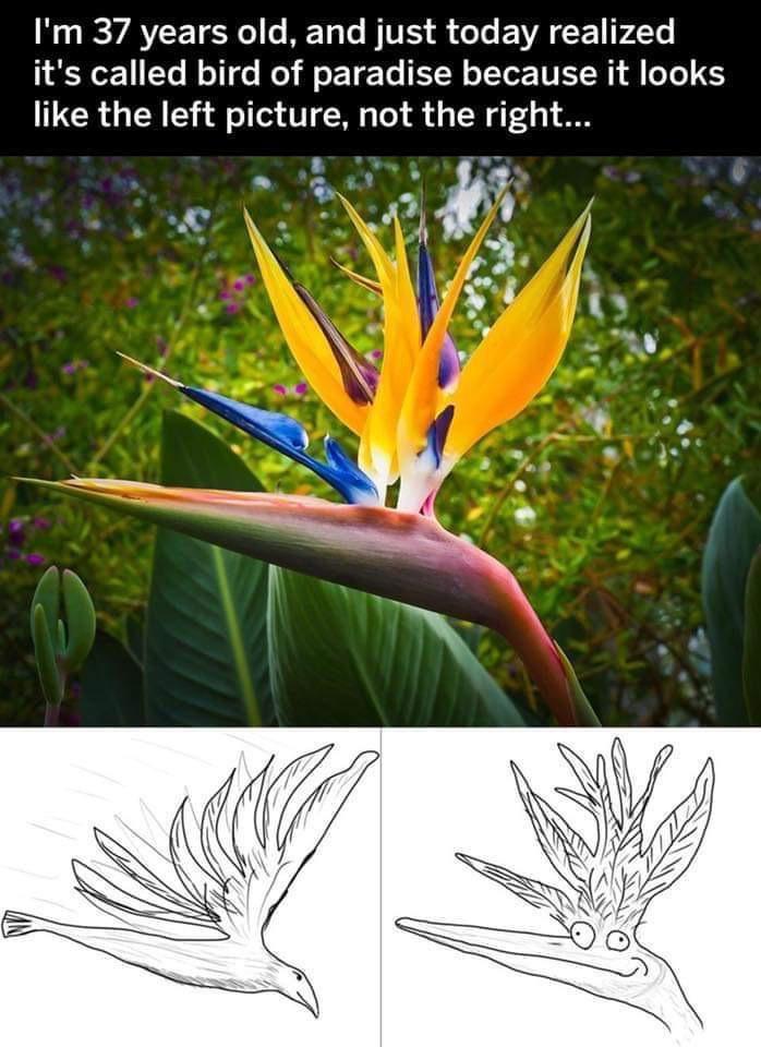 N R VAT TN o M To le BVES e Lo EVACCE F2Te T Yo Nl e Mol o ET To EX Wo Yo TN YW1l eTe 165 like the left picture not the right s e LR AR Y 1 p A _c _ o A Q Ay i i N o
