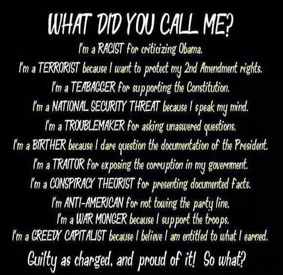 WHAT DID YOU CALL ME? I'm a RACIST for criticizing Obama. I'm a TERRORIST because I want to protect my 2nd Amendment rights. I'm a TEABAGGER for supporting the Constitution. I'm a NATIONAL SECURITY THREAT because I speak my mind. I'm a TROUBLEMAKER for asking unanswered questions. I'm a BIRTHER because I dare question the documentation of the Presi