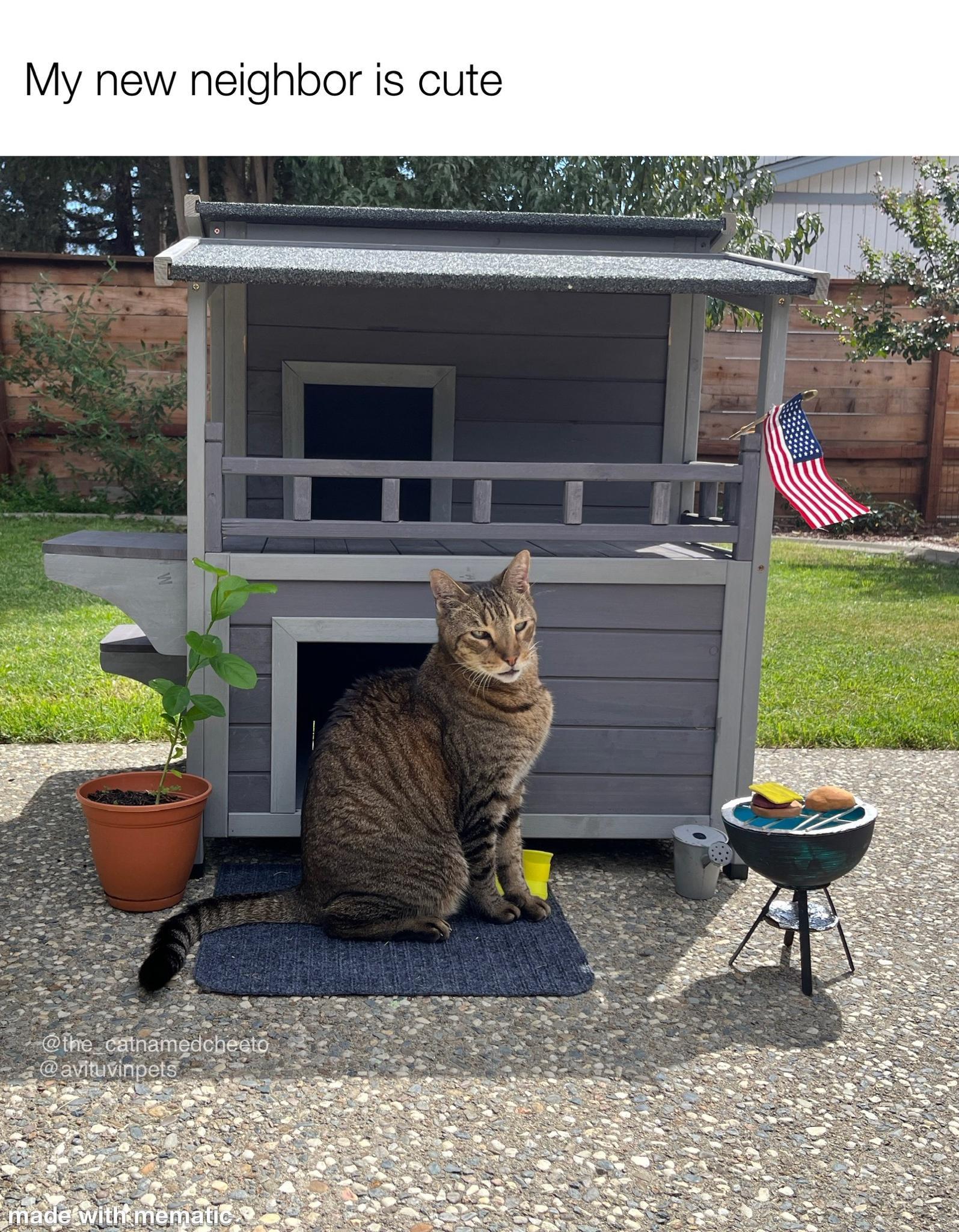 My new neighbor is cute