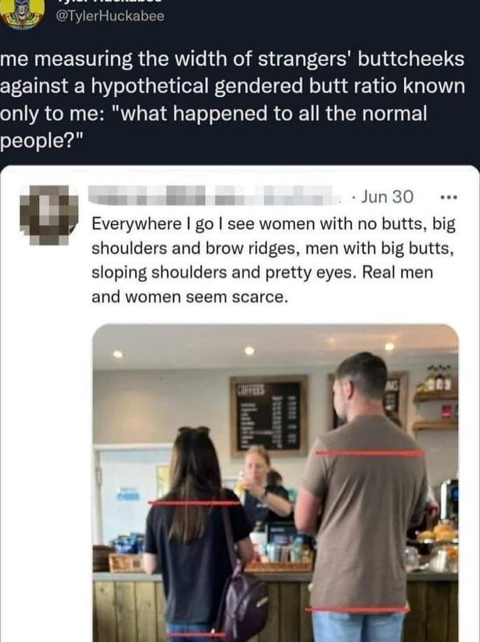 me measuring the width of strangers buttcheeks against a hypothetical gendered butt ratio known only to me what happened to all the normal people 3 un30 e Q Everywhere go see women with no butts big shoulders and brow ridges men with big butts sloping shoulders and pretty eyes Real men and women seem scarce