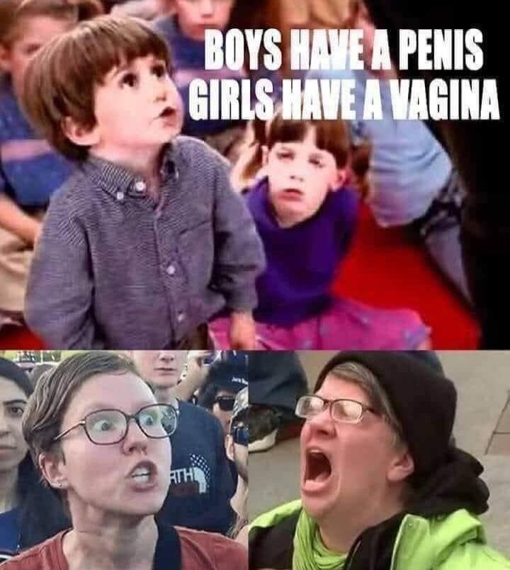 BOYS HAVE A PENIS GIRLS HAVE A VAGINA