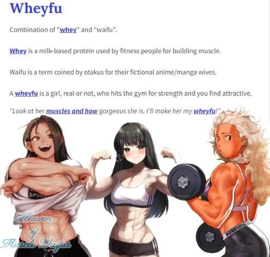 Wheyfu Combination of whey and waifu Whey s a milkbased proten use by fitness peopla forbulding muscle Watu s aterm coined b otakusfor theiictonal animemanga wives Awheytu is a girreal or not who hits the gym for strength and you find attractive Lok at her muscles and how gorgeous she is 1l make her my wheyfu