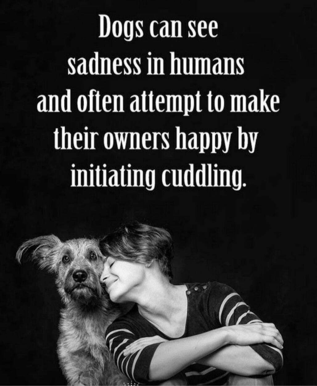 Dogs can see sadness in humans and often attempt to make their owners happy by initiating cuddling.
