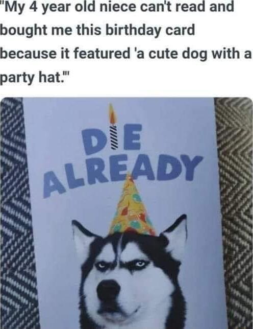 bought me this birthday card because it featured a cute dog with a party hat