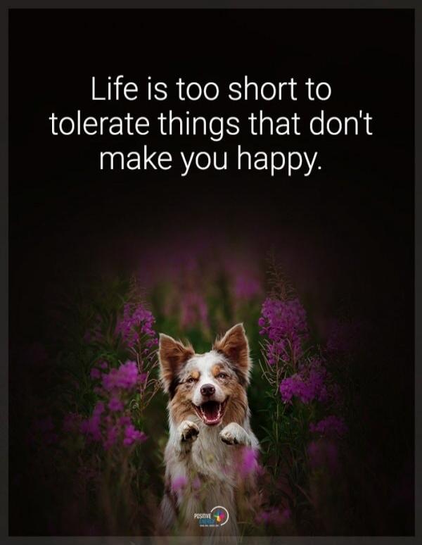 Life is too short to tolerate things that don't make you happy.