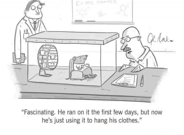 “Fascinating. He ran on it the first few days, but now he's just using it to hang his clothes.”