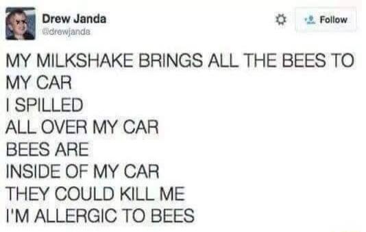 Drew Janda @drewjanda MY MILKSHAKE BRINGS ALL THE BEES TO MY CAR I SPILLED ALL OVER MY CAR BEES ARE INSIDE OF MY CAR THEY COULD KILL ME I'M ALLERGIC TO BEES