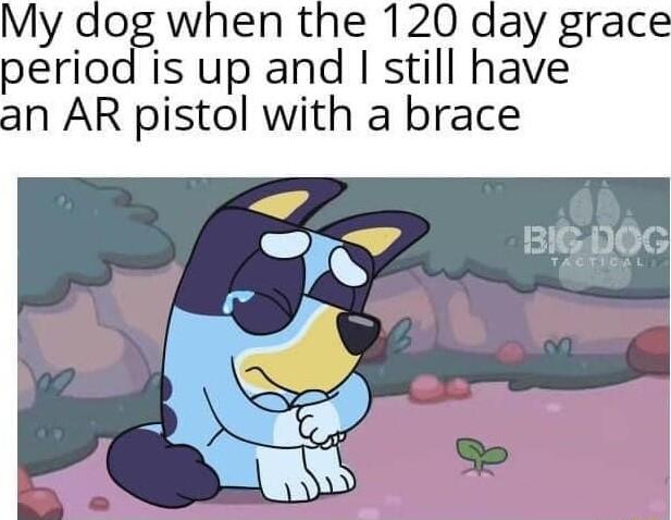 My dog when the 120 day grace period is up and still have an AR pistol with a brace BIGDOG e