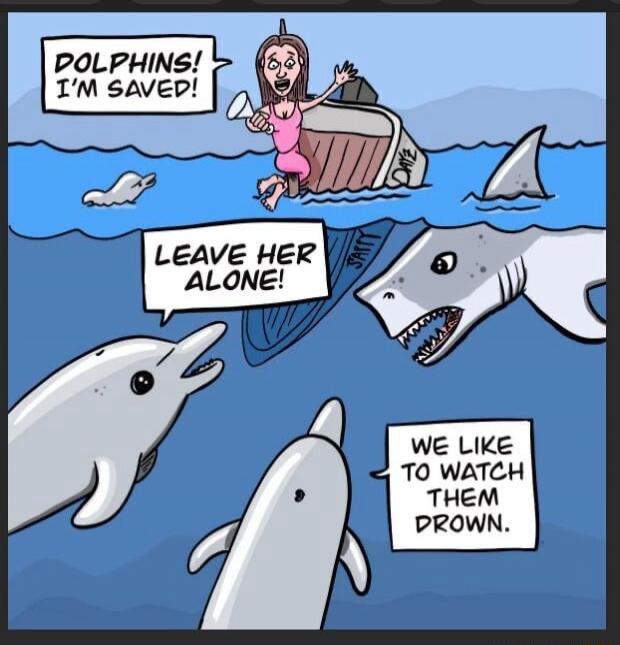 DOLPHINS! I'M SAVED! LEAVE HER ALONE! WE LIKE TO WATCH THEM DROWN.