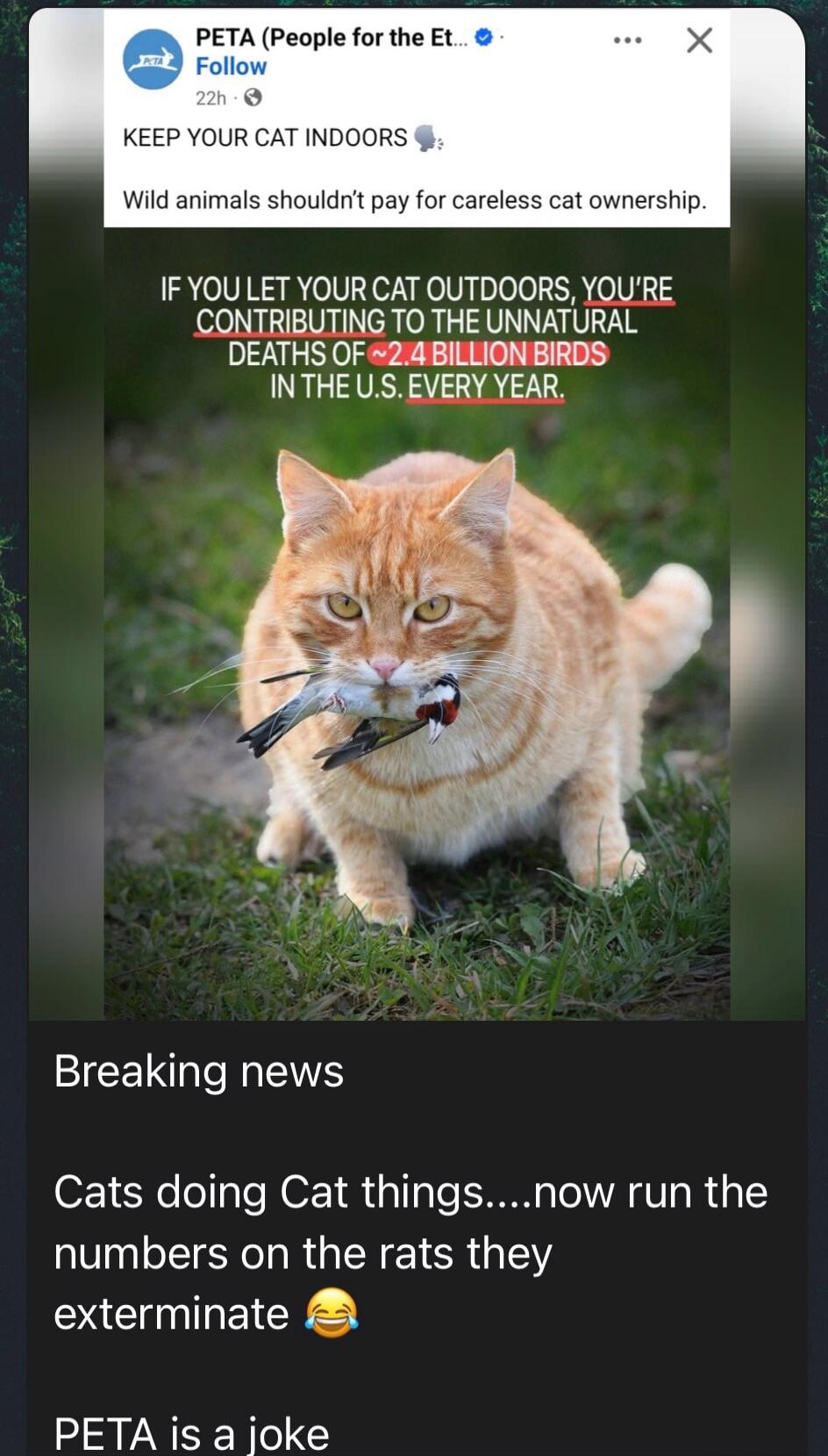 PETA (People for the Ethical Treatment of Animals) Follow 22h. KEEP YOUR CAT INDOORS. Wild animals shouldn't pay for careless cat ownership. IF YOU LET YOUR CAT OUTDOORS, YOU'RE CONTRIBUTING TO THE UNNATURAL DEATHS OF ~2.4 BILLION BIRDS IN THE U.S. EVERY YEAR. Breaking news. Cats doing Cat things....now run the numbers on the rats they exterminate 