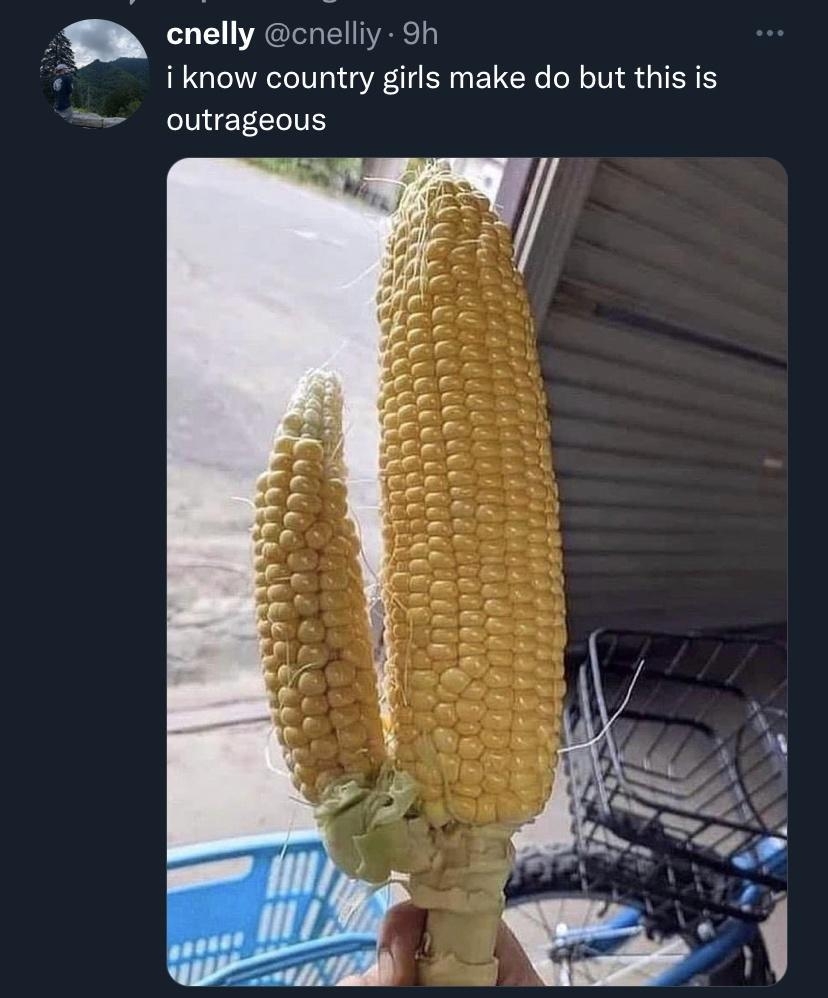 cnelly cnelliy 9h i know country girls make do but this is outrageous