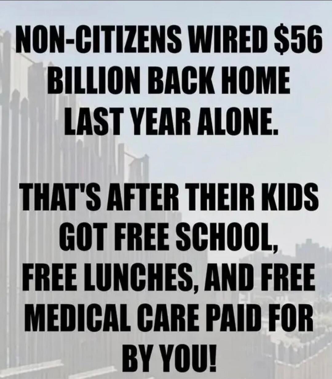 NON-CITIZENS WIRED $56 BILLION BACK HOME LAST YEAR ALONE. THAT'S AFTER THEIR KIDS GOT FREE SCHOOL, FREE LUNCHES, AND FREE MEDICAL CARE PAID FOR BY YOU!