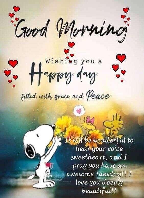 Good Morning Wishing you a Happy day filled with grace and Peace It will be wonderful to hear your voice sweetheart, and I pray you have an awesome Tuesday!! I love you deeply beautiful!!