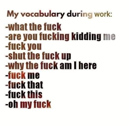 My vocabulary during work what the fuck are you fucking kidding me fuck you shut the fuck up why the fuck am I here fuck me fuck that fuck this 0h my fuck