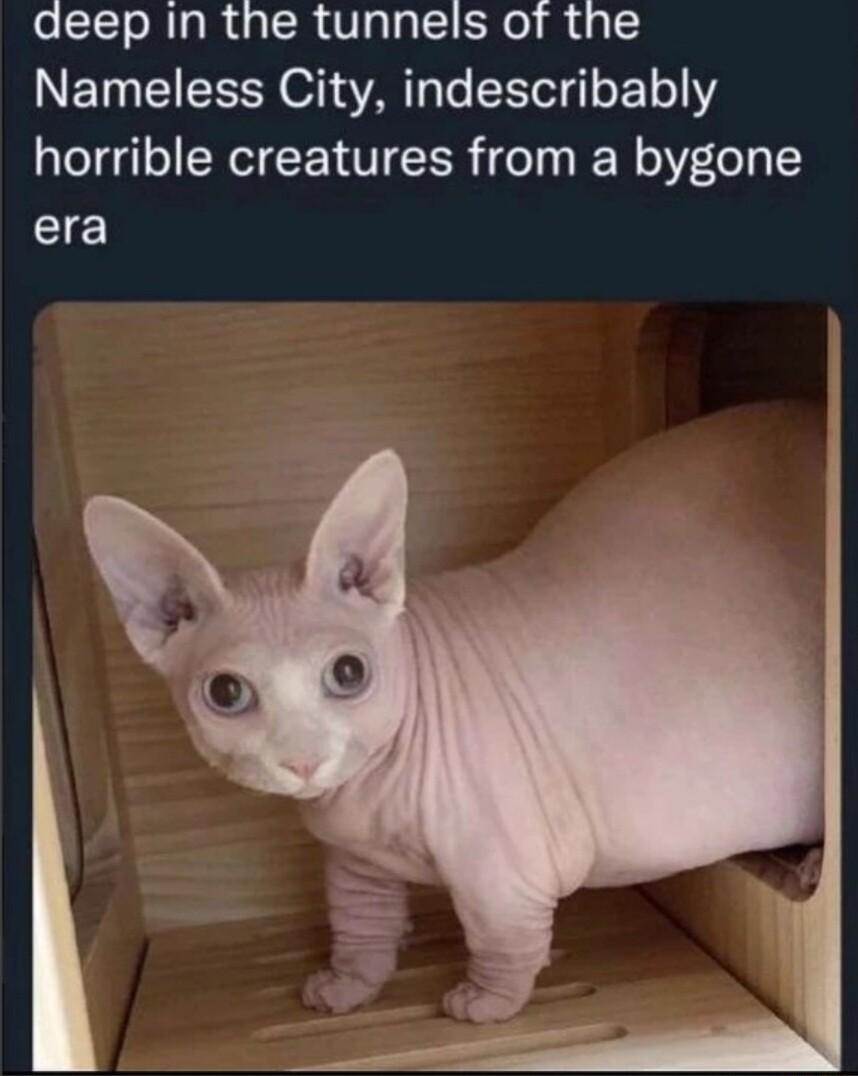 eIleRIa R Ga TR VIglall o i dg TN EI R o VAT To T o 11 horrible creatures from a bygone era