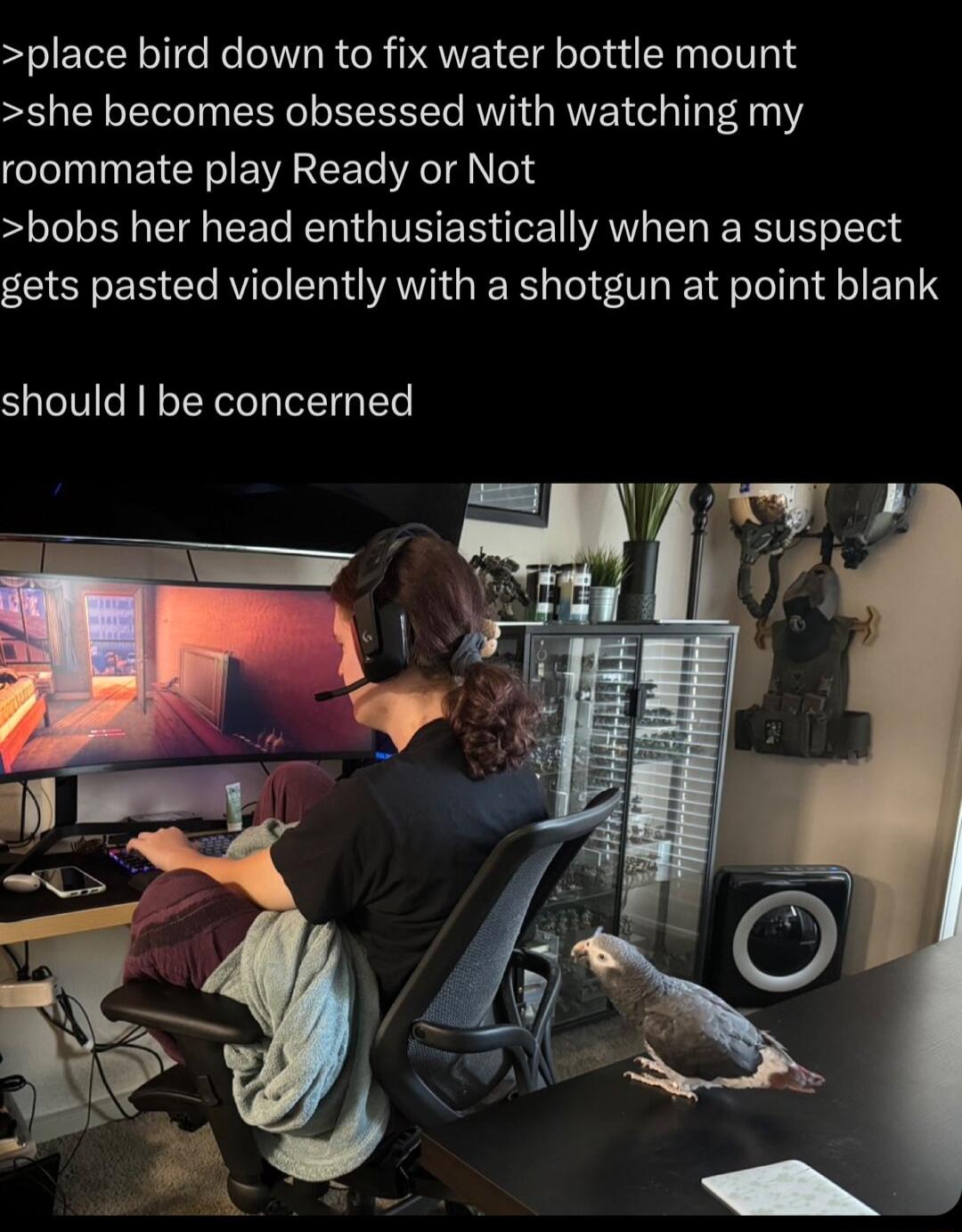 place bird down to fix water bottle mount she becomes obsessed with watching my roommate play Ready or Not bobs her head enthusiastically when a suspect gets pasted violently with a shotgun at point blank should I be concerned