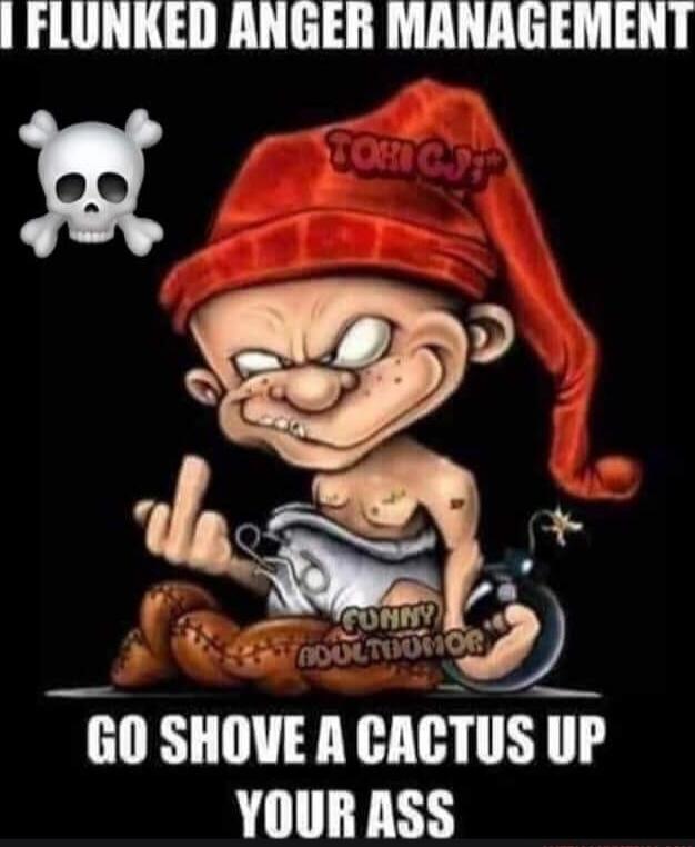 I FLUNKED ANGER MANAGEMENT GO SHOVE A CACTUS UP YOUR ASS TOXIC FUNNY ADULTHUMOR