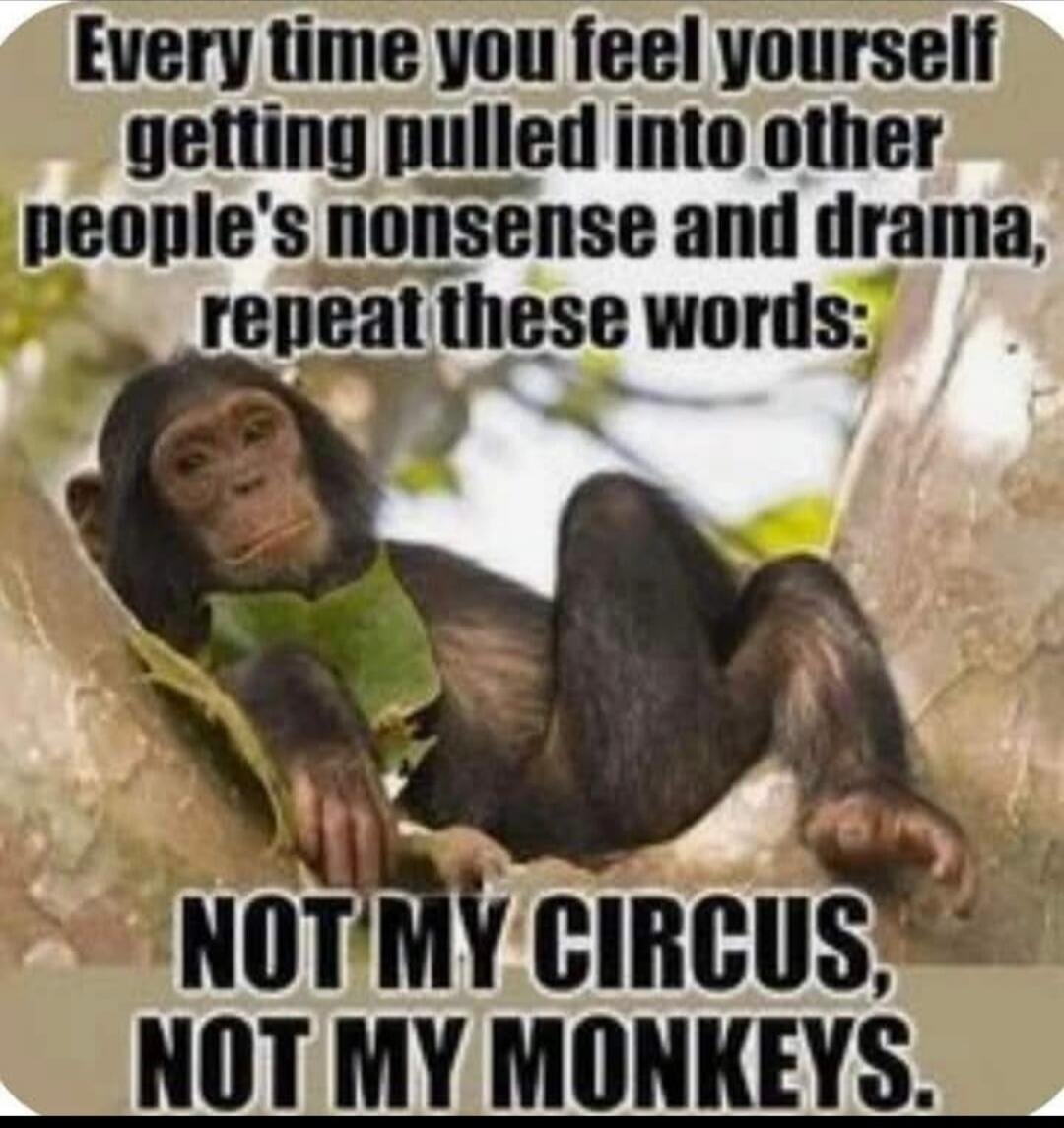 Every time you feel yourself getting pulled into other people's nonsense and drama, repeat these words: NOT MY CIRCUS, NOT MY MONKEYS.
