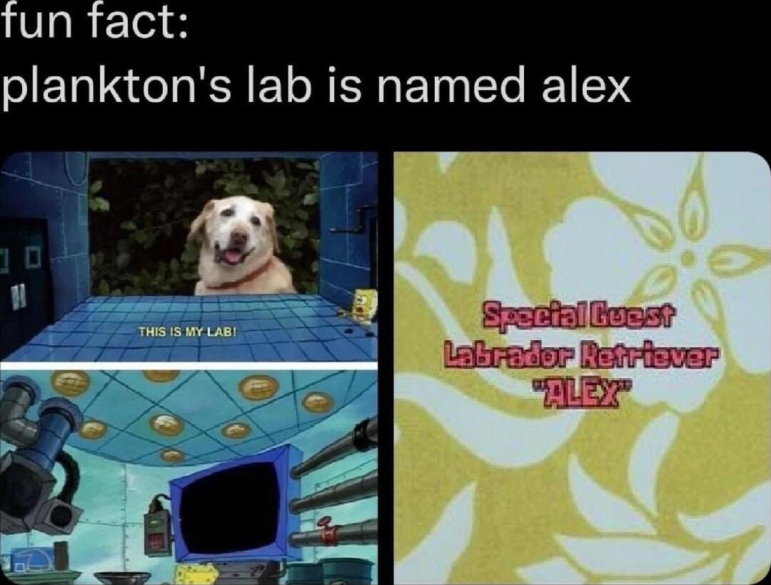 fun fact planktons lab is named alex