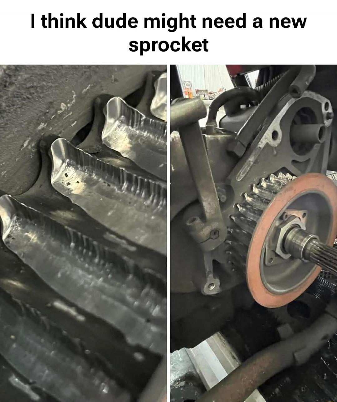 I think dude might need a new sprocket