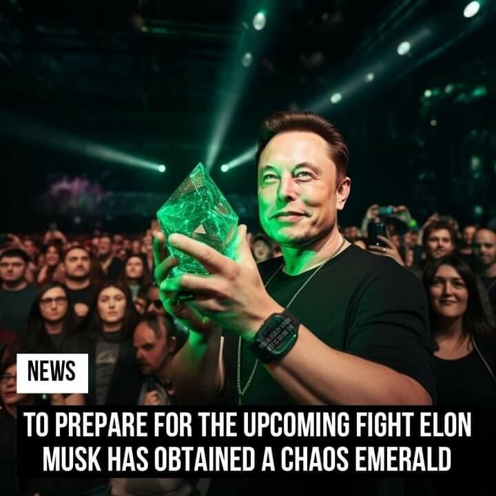 A 4 a_ 1 _3 88 5 Tll PHEPARE FOR THE UPCOMING FIGHT ELON MUSK HAS OBTAINED A CHAOS EMERALD