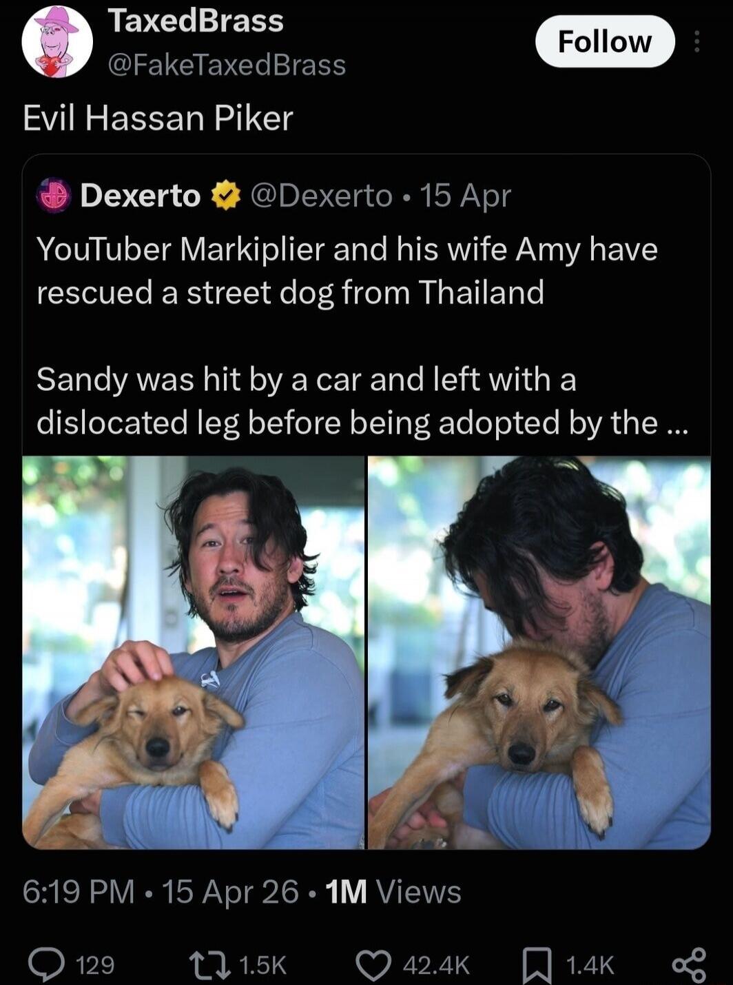 Evil Hassan Piker. YouTuber Markiplier and his wife Amy have rescued a street dog from Thailand. Sandy was hit by a car and left with a dislocated leg before being adopted by the...
