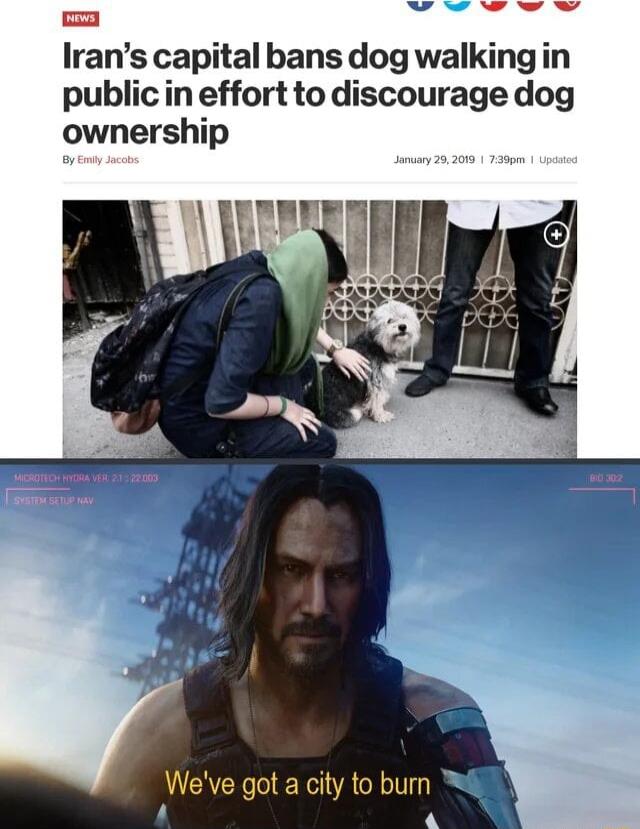 Y U ma Irans capital bans dog walking in publicin effort to discourage dog ownership