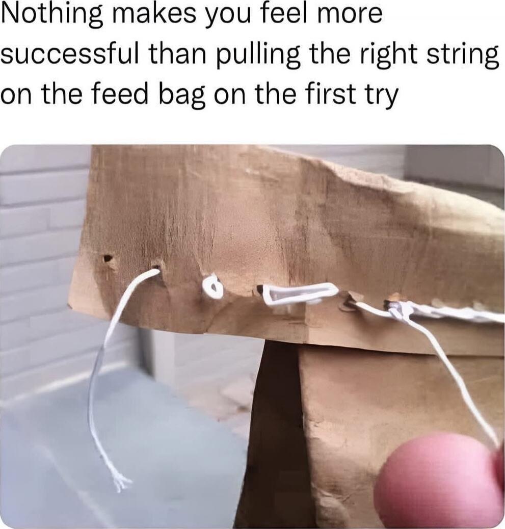 Nothing makes you feel more successful than pulling the right string on the feed bag on the first try