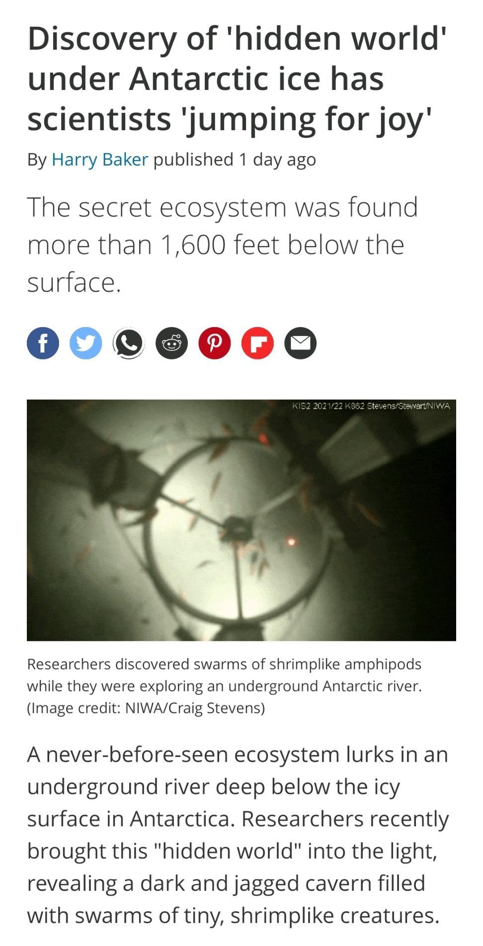 Discovery of hidden world under Antarctic ice has scientists jumping for joy By Harry Baker published 1 day ago The secret ecosystem was found more than 1600 feet below the surface 00000060 Researchers discovered swarms of shrimplike amphipods while they were exploring an underground Antarctic river Image credit NIWACraig Stevens A never before seen ecosystem lurks in an underground river deep bel