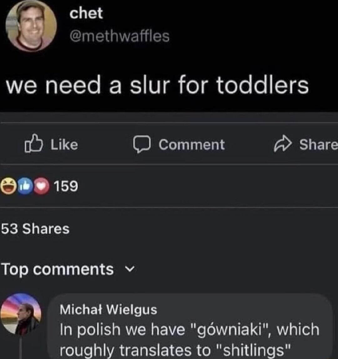 chet l EGIVE T we need a slur for toddlers o Like D comment Share L L AL 53 Shares Top comments v 9 Michat Wielgus In polish we have gwniaki which wehitlings T ATER S EICERCREG TS