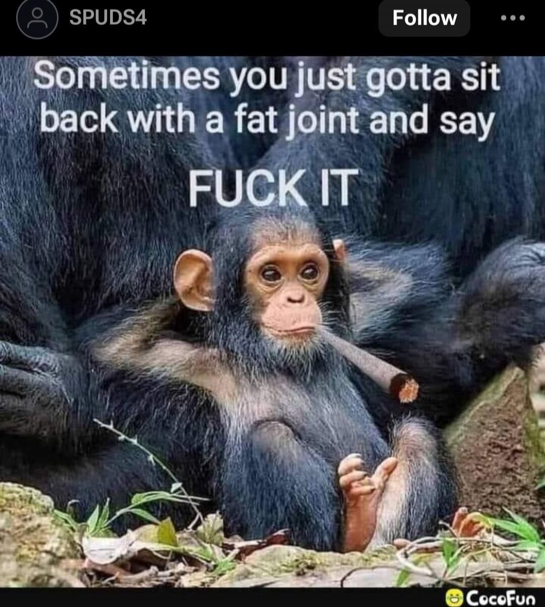 Sometimes you just gotta sit back with a fat joint and say FUCK IT
