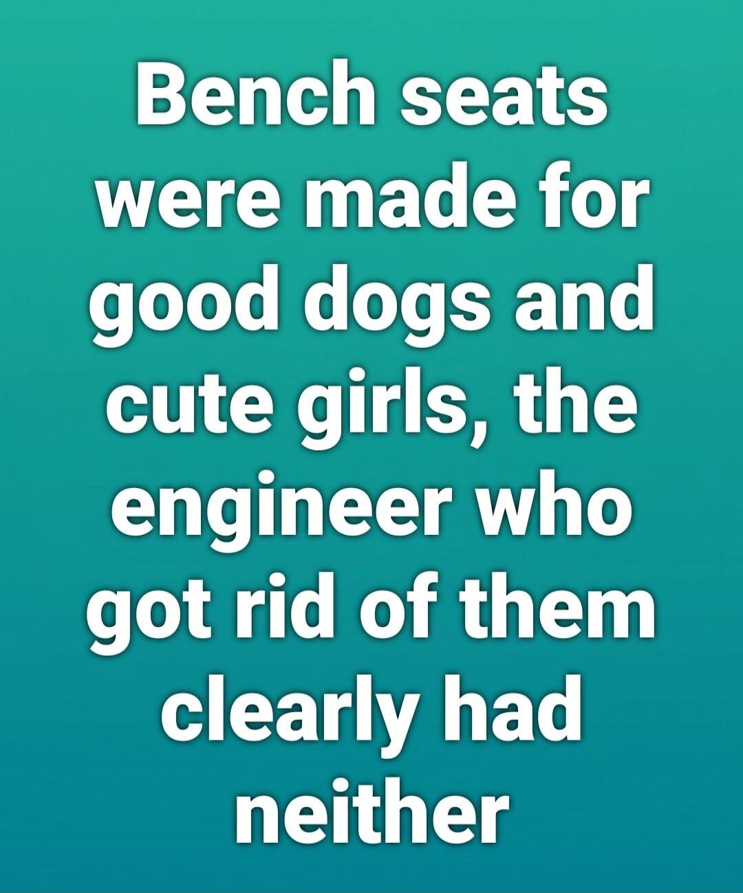 Bench seats were made for good dogs and cute girls, the engineer who got rid of them clearly had neither