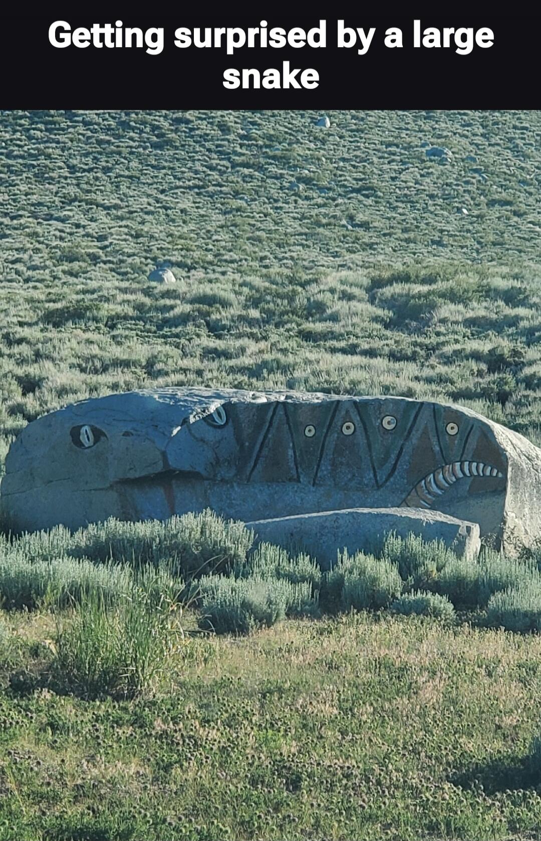 Getting surprised by a large snake