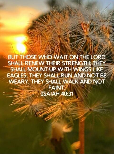 BUT THOSE WHO WAIT ON THE LORD SHALL RENEW THEIR STRENGTH: THEY SHALL MOUNT UP WITH WINGS LIKE EAGLES, THEY SHALL RUN AND NOT BE WEARY, THEY SHALL WALK AND NOT FAINT. ISAIAH 40:31