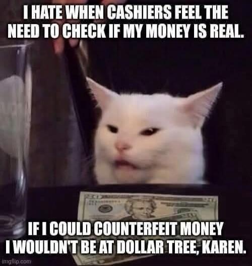 I HATE WHEN CASHIERS FEEL THE NEED TO CHECK IF MY MONEY IS REAL. IF I COULD COUNTERFEIT MONEY I WOULDN'T BE AT DOLLAR TREE, KAREN.
