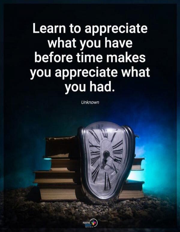 Learn to appreciate what you have before time makes you appreciate what you had. Unknown