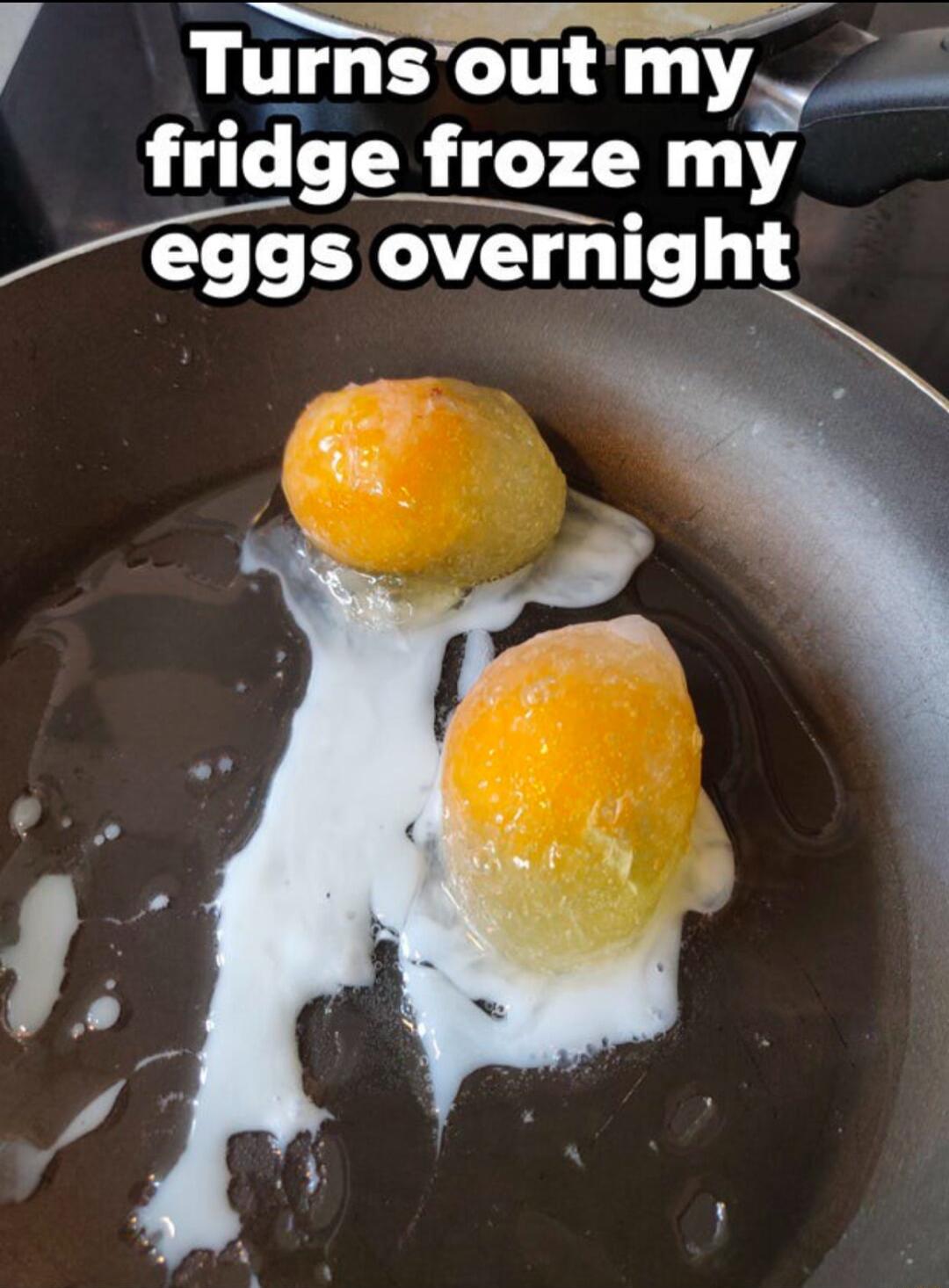 Tu_rnSoutmy_ fridge froze my _eggs overnight
