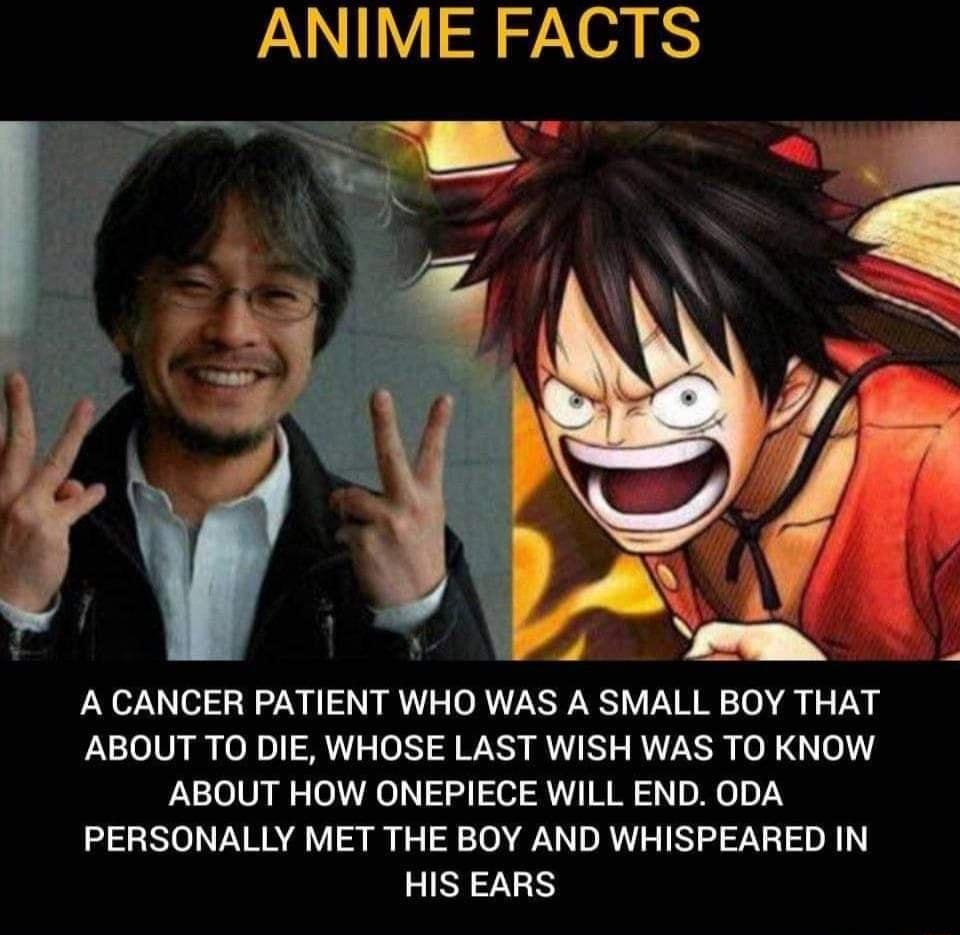 ALY 9 i o A CANCER PATIENT WHO WAS A SMALL BOY THAT ABOUT TO DIE WHOSE LAST WISH WAS TO KNOW ABOUT HOW ONEPIECE WILL END ODA PERSONALLY MET THE BOY AND WHISPEARED IN HIS EARS