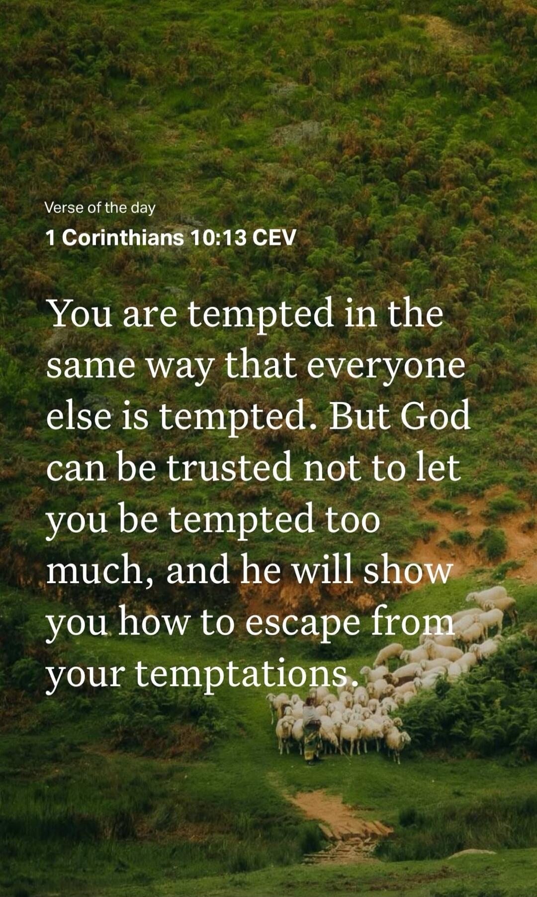 Verse of the day 1 Corinthians 10:13 CEV You are tempted in the same way that everyone else is tempted. But God can be trusted not to let you be tempted too much, and he will show you how to escape from your temptations.