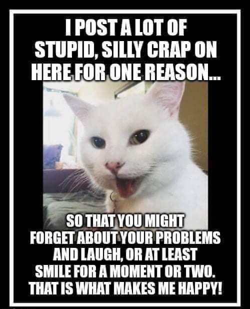 1 POSTALOT OF STUPID SILLY CRAP ON HEREFOR ONE REASON S lIIlII Yllll MIGHT FORGET IBIIIIT YOURPROBLEMS AND LAUGH OR AT LEAST SMILE FOR A MOMENT OR TWO THAT IS WHAT MAKES ME HRPPY