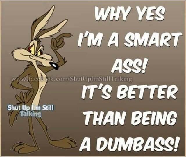 WHY YES I'M A SMART ASS! IT'S BETTER THAN BEING A DUMBASS! www.facebook.com/ShutUpImStillTalking Shut Up I'm Still Talking