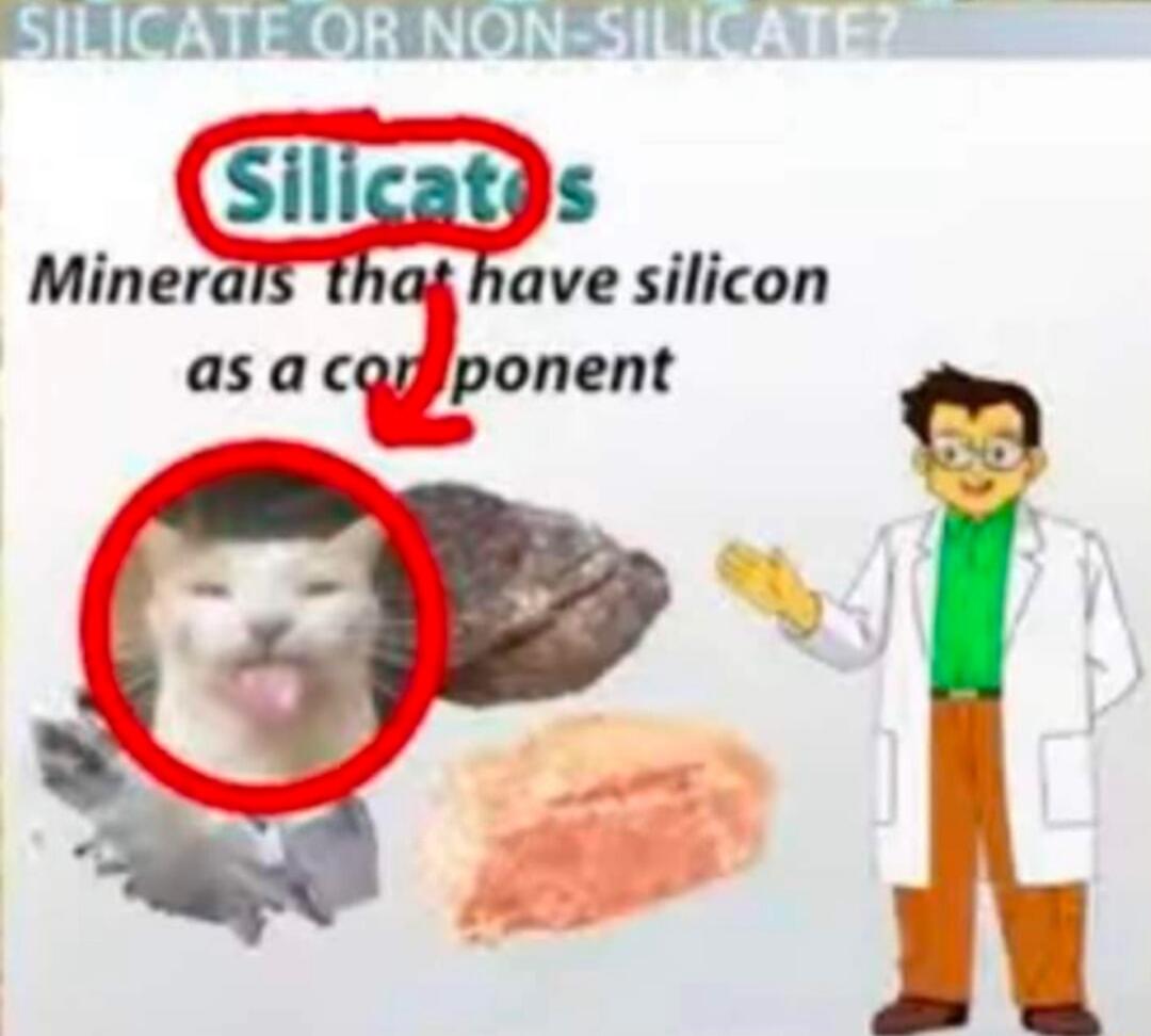 SILICATE OR NON SILICA l Miner ave silicon asa QOntl m oD