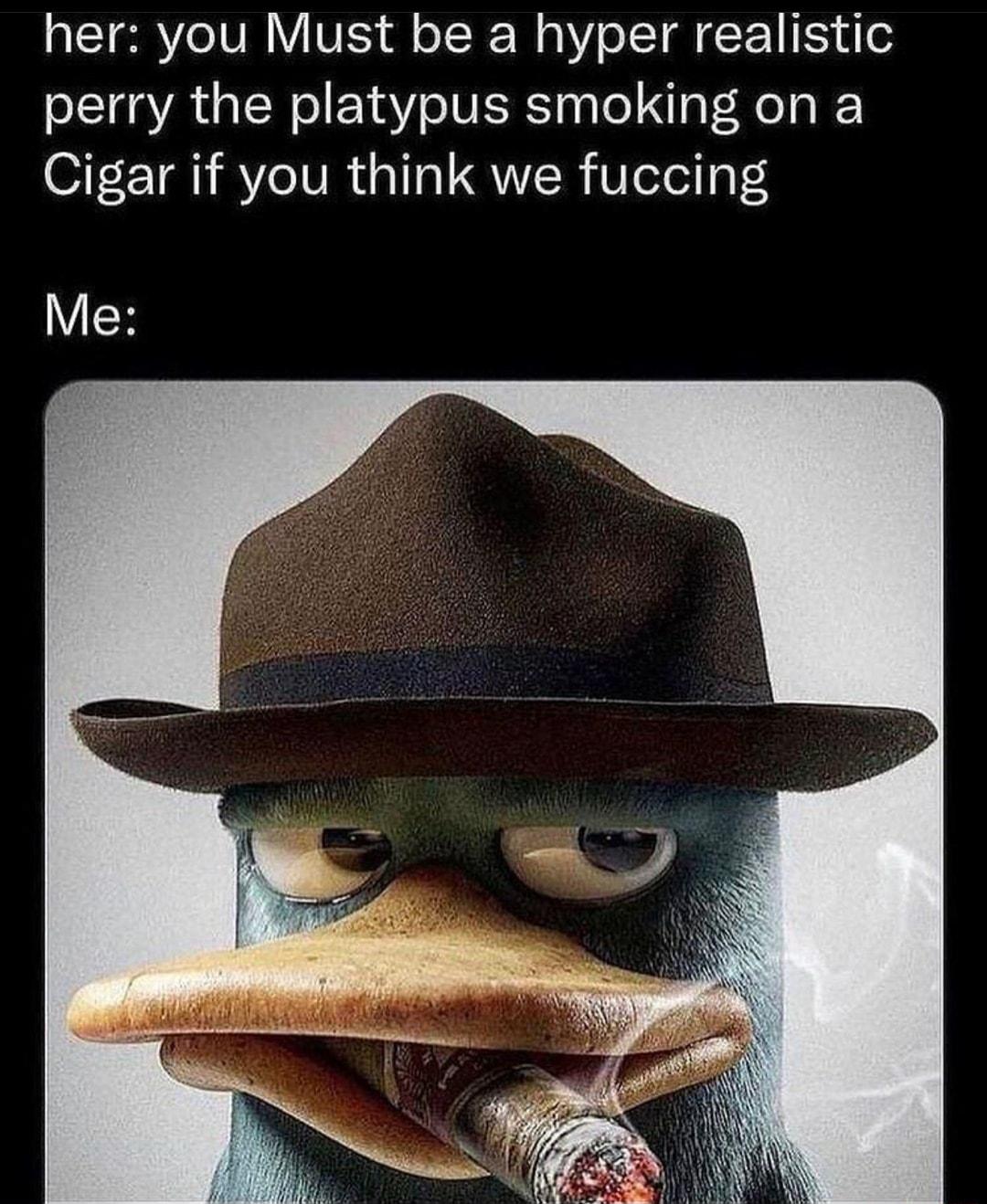 ITERYe IV R VE o IR W g Y o T L ESYd perry the platypus smoking on a Cigar if you think we fuccing YK