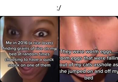 Me in 2016ajricellover ffinding grains offricelonmy e bed at randomitimes V1SS WIetrS WIeligy ey choosing to haveaquick OrmIeggsithat were fallin 95ck on one of them outiofimy catsiasshole as she jJumpedfon and off my bed