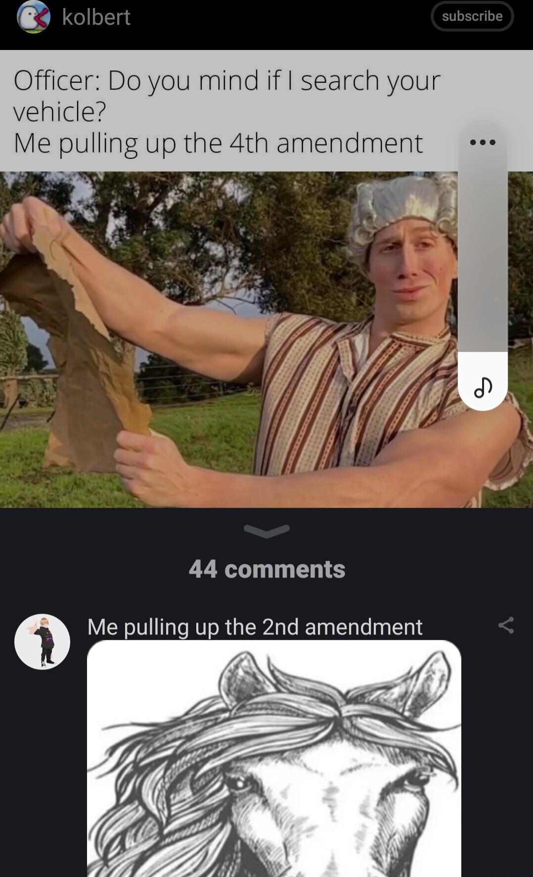 Officer Do you mind if search your vehicle Me pulling up the 4th amendment B 44 comments Me pulling up the 2nd amendment